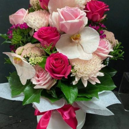 hatbox tempt
